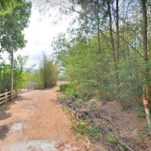 出售地皮-泰国-呵叻-8960-平方米-114.8-01