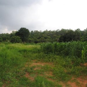 出售地皮-泰国-呵叻-89600-平方米-65.06-01