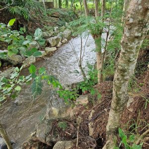 出售地皮-泰国-呵叻-9000-平方米-57.86-01