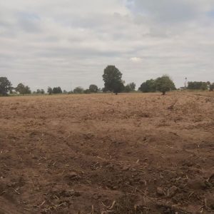 出售地皮-泰国-呵叻-9264-平方米-13.95-01