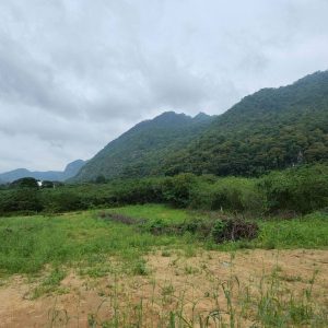 出售地皮-泰国-呵叻-9280-平方米-214.29-01