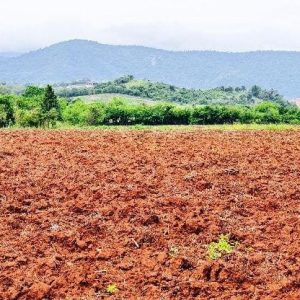 出售地皮-泰国-呵叻-9600-平方米-0-01