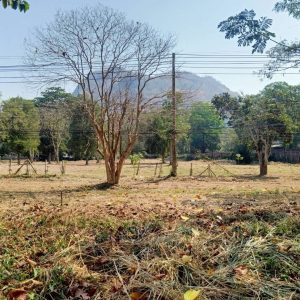 出售地皮-泰国-呵叻-9876-平方米-395.78-01