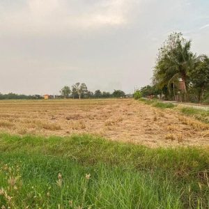 出售地皮-泰国-喃奔-12800-平方米-27.86-01