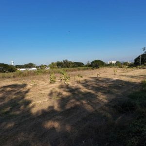 出售地皮-泰国-喃奔-16656-平方米-107.15-01