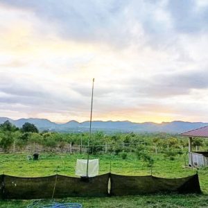 出售地皮-泰国-喃奔-38036-平方米-3.43-01