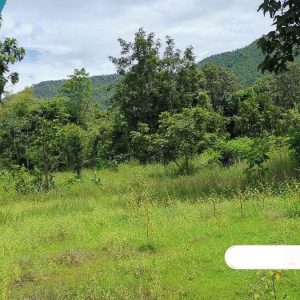 出售地皮-泰国-喃奔-82516-平方米-22.86-01