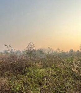 出售地皮-泰国-喃邦-26740-平方米-0.2-01