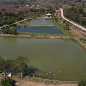 出售地皮-泰国-喃邦-59200-平方米-5.38-01