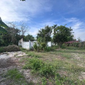 出售地皮-泰国-喃邦-776-平方米-26.52-01