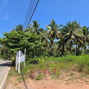 出售地皮-泰国-夜功-3844-平方米-49.06-01