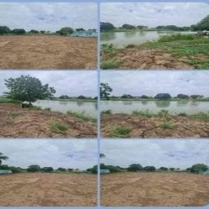 出售地皮-泰国-大城-1244-平方米-206.72-01