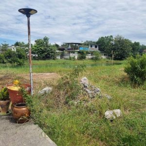 出售地皮-泰国-大城-12800-平方米-80.38-01