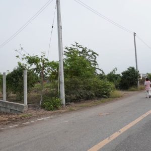 出售地皮-泰国-大城-14736.8-平方米-21.23-01