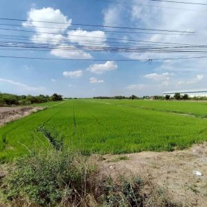 出售地皮-泰国-大城-16384-平方米-31.4-01