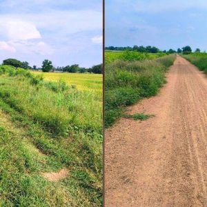 出售地皮-泰国-大城-21744-平方米-2.15-01