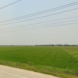 出售地皮-泰国-大城-233600-平方米-81.43-01