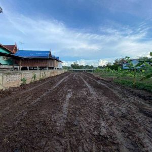 出售地皮-泰国-大城-412-平方米-145.66-01