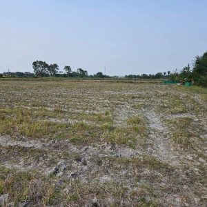 出售地皮-泰国-大城-45192-平方米-27.86-01