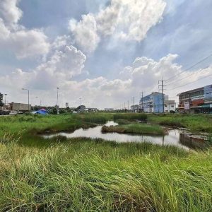 出售地皮-泰国-大城-4800-平方米-228.58-01