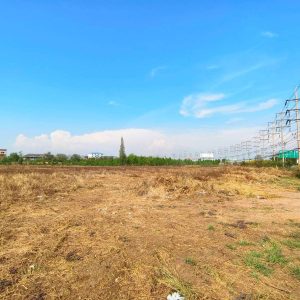 出售地皮-泰国-大城-8986.8-平方米-228.92-01