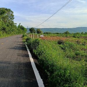 出售地皮-泰国-孔敬-11840-平方米-15.66-01