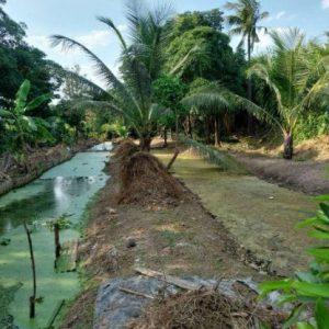 出售地皮-泰国-孔敬-12936-平方米-79.52-01