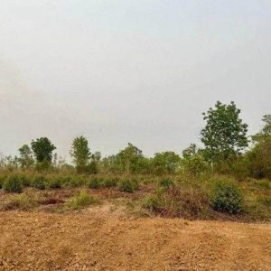 出售地皮-泰国-孔敬-188800-平方米-17.15-01