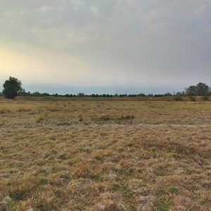 出售地皮-泰国-孔敬-19640-平方米-3.6-01