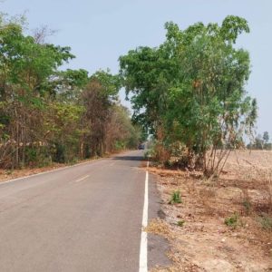 出售地皮-泰国-孔敬-224000-平方米-5.8-01