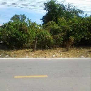 出售地皮-泰国-孔敬-256-平方米-49.72-01