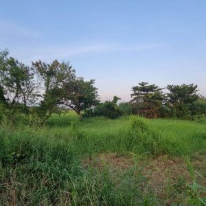 出售地皮-泰国-孔敬-3200-平方米-267.86-01