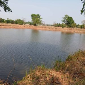 出售地皮-泰国-孔敬-56440-平方米-0.6-01