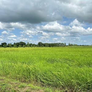 出售地皮-泰国-孔敬-7100-平方米-7.26-01