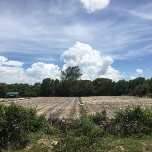 出售地皮-泰国-宋卡-14908-平方米-41.4-01