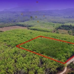 出售地皮-泰国-宋卡-16000-平方米-42.86-01