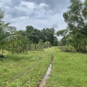 出售地皮-泰国-宋卡-1692-平方米-15.43-01