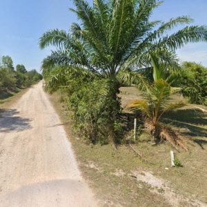 出售地皮-泰国-宋卡-200.4-平方米-27.4-01