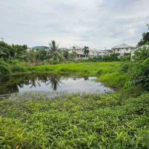 出售地皮-泰国-宋卡-2032-平方米-33.78-01