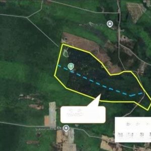 出售地皮-泰国-宋卡-220800-平方米-12.43-01