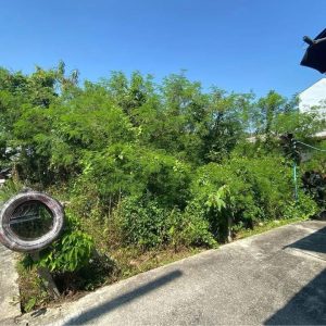 出售地皮-泰国-宋卡-240-平方米-857.15-01