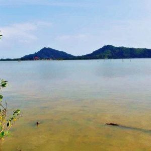 出售地皮-泰国-宋卡-290696-平方米-17.15-01