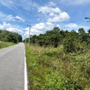 出售地皮-泰国-宋卡-447.6-平方米-91.95-01