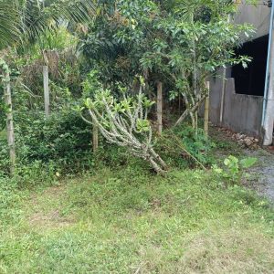 出售地皮-泰国-宋卡-80-平方米-107.15-01