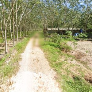 出售地皮-泰国-宋卡-8095.6-平方米-44383.92-01