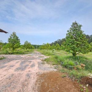 出售地皮-泰国-尖竹汶-14632-平方米-16.43-01