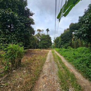 出售地皮-泰国-尖竹汶-18604-平方米-16.8-01