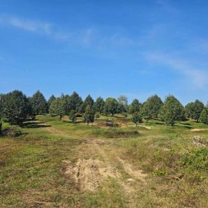 出售地皮-泰国-尖竹汶-34640-平方米-20.8-01