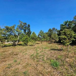 出售地皮-泰国-尖竹汶-4800-平方米-18.58-01