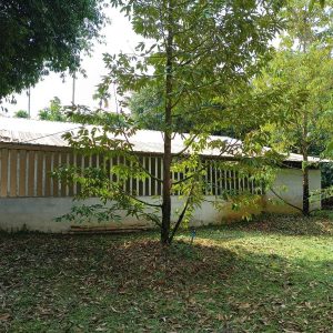 出售地皮-泰国-尖竹汶-5052-平方米-57.72-01